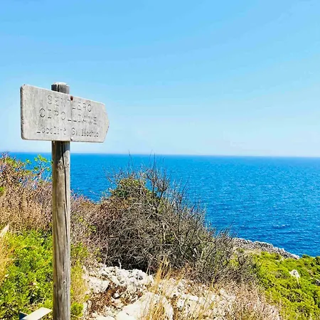 Сasa de vacaciones Pajara A Mare *